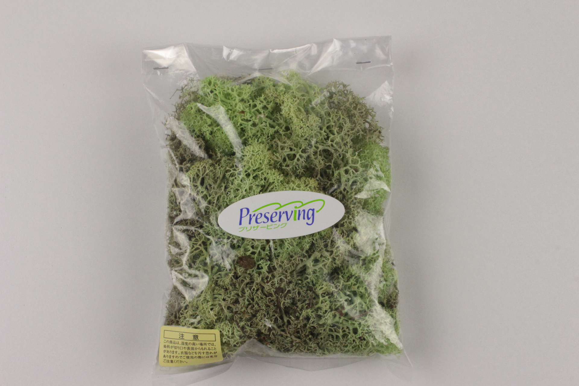 創作 アート 盆栽材料 アイスランドモス ドライ 700 グリーン 約40ｇ入り 小袋 アートフラワー材料 造花資材のオンラインショップ