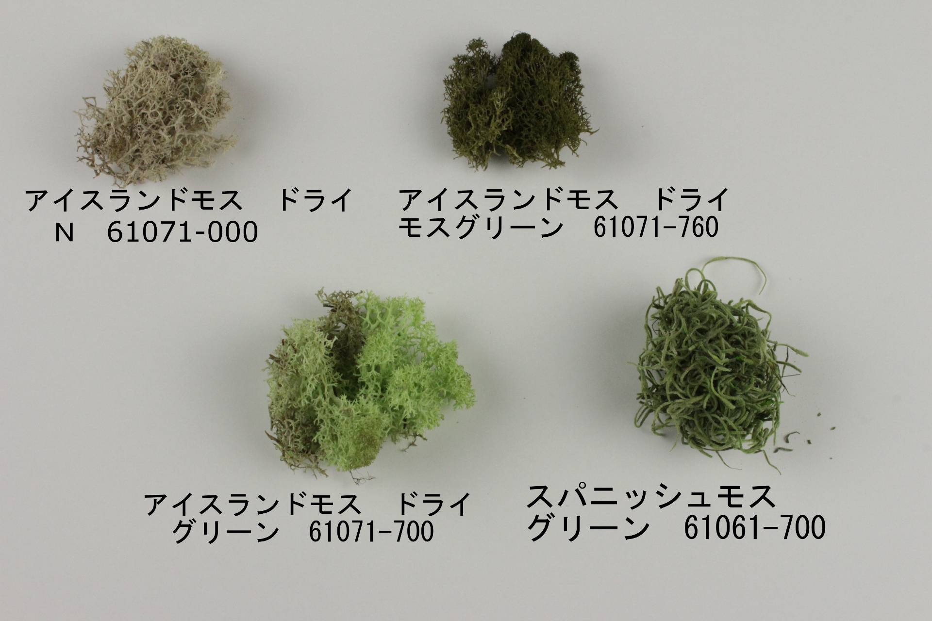 創作（アート）盆栽材料】スパニッシュモス 61061-700 グリーン 約50g入り 小袋 | アートフラワー材料・造花資材のオンラインショップ